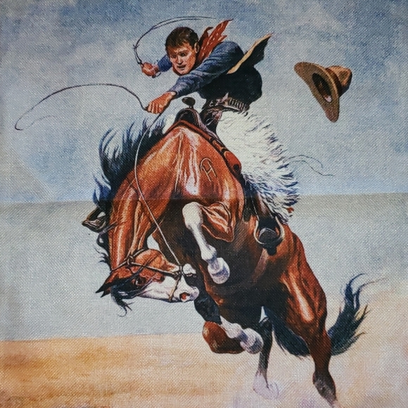 Western Pillow Cowboy Rodeo Horse Bronc Rider - Picture 11 of 11